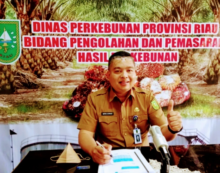 CPO