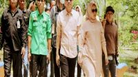 hutan