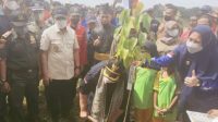 BUPATI