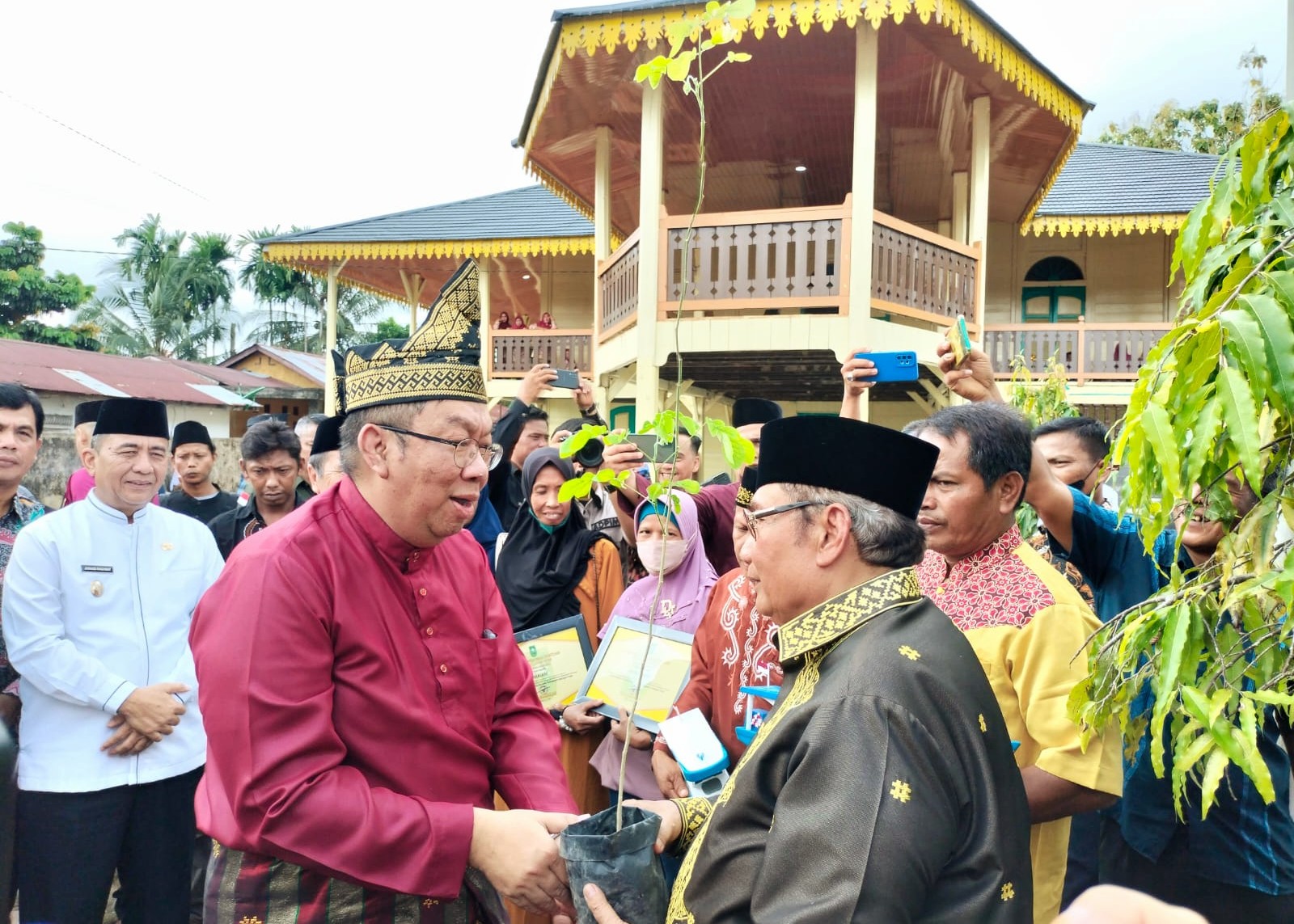 budaya