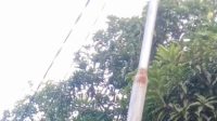 PLN