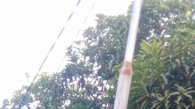 PLN