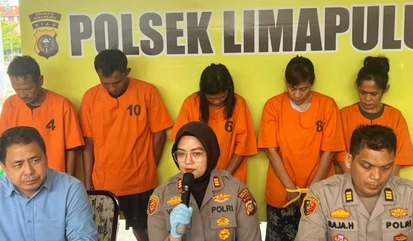 Screenshot_20250501_142513~2 curi