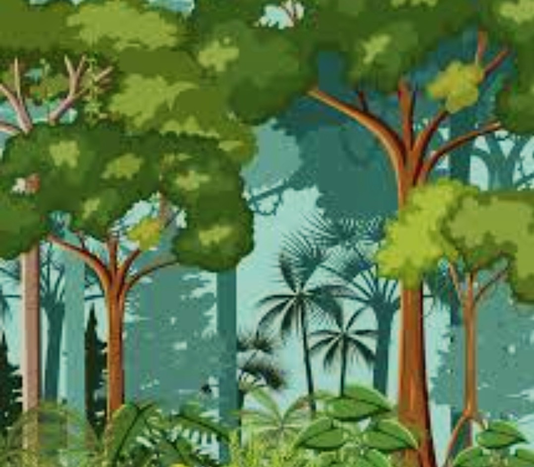 Screenshot_20260129_191338~2