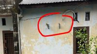 IMG-20260831-WA0003